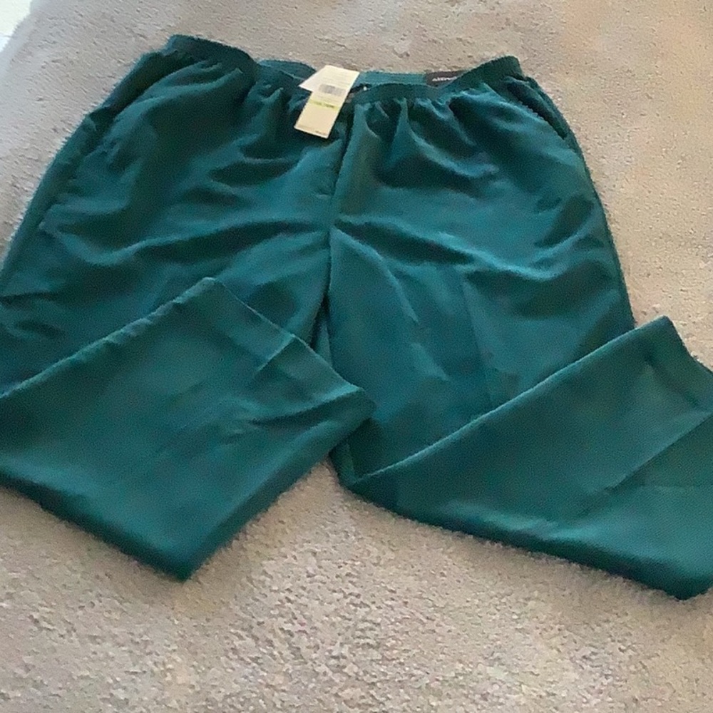NWT Alfred Dunner classic fit comfort waist teal pants. Size 18W. See pictures.